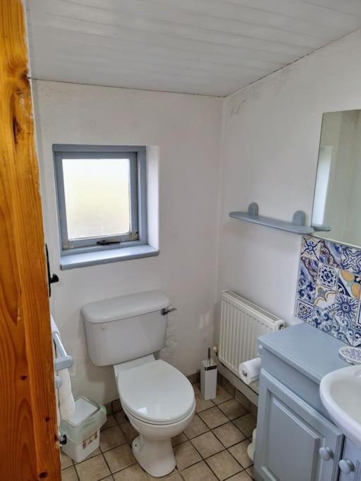 Cottage Skelligs Coast, Ring Of Kerry Cahersiveen Ngoại thất bức ảnh