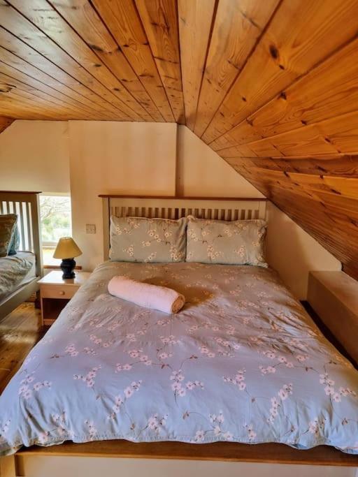 Cottage Skelligs Coast, Ring Of Kerry Cahersiveen Ngoại thất bức ảnh