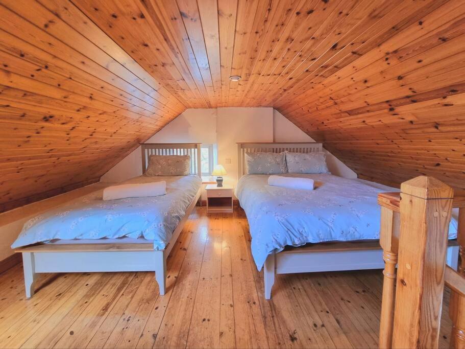 Cottage Skelligs Coast, Ring Of Kerry Cahersiveen Ngoại thất bức ảnh