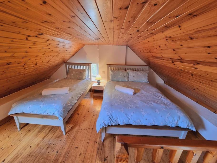 Cottage Skelligs Coast, Ring Of Kerry Cahersiveen Ngoại thất bức ảnh