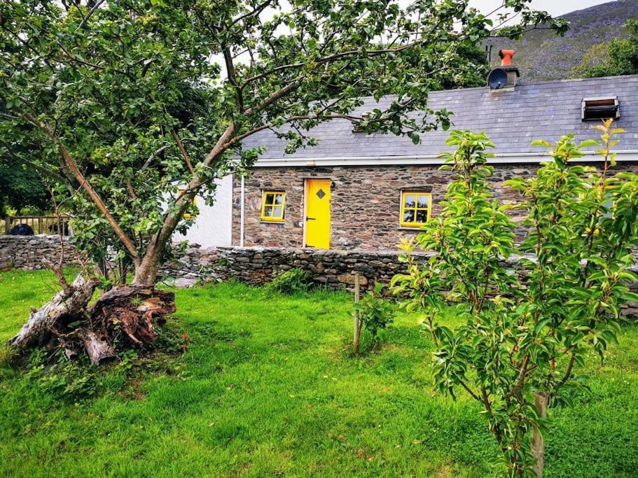 Cottage Skelligs Coast, Ring Of Kerry Cahersiveen Ngoại thất bức ảnh